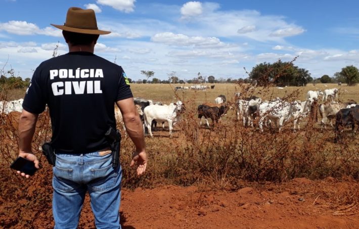 Saiba o que o pecuarista pode fazer para prevenir e se defender do furto de gado