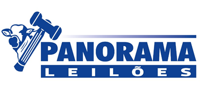 Panorama Leiloes
